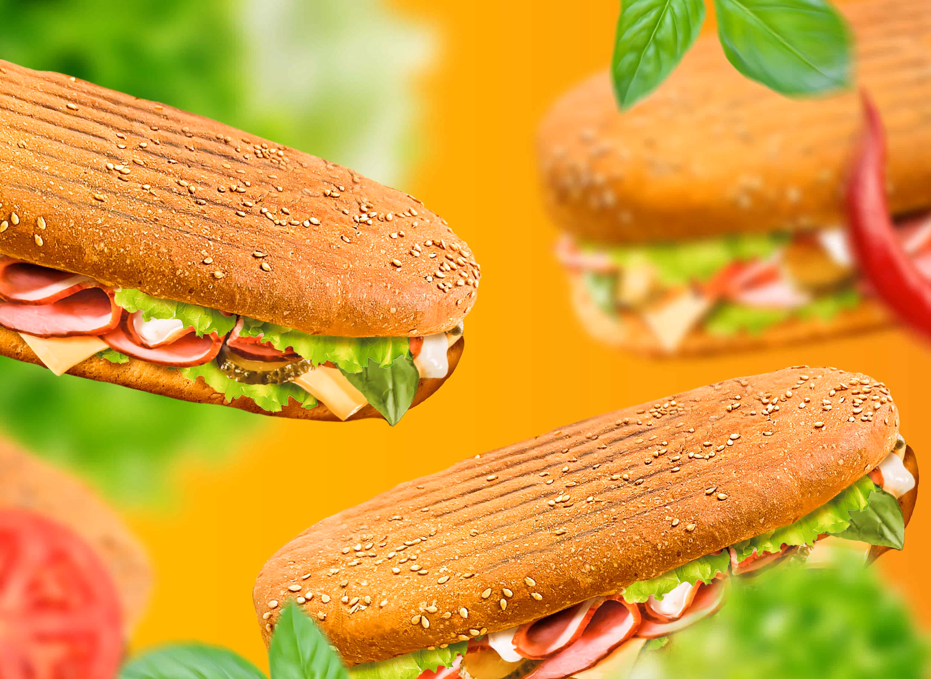 panini pan panini
