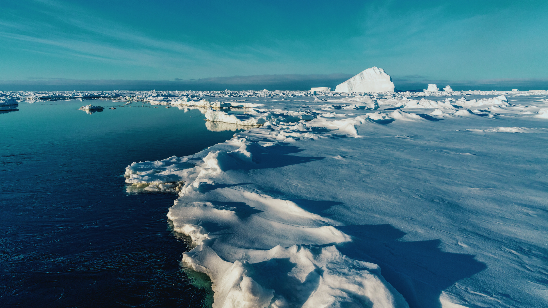 NGOs Turn to IMO for Help Controlling Fuels Used in Arctic