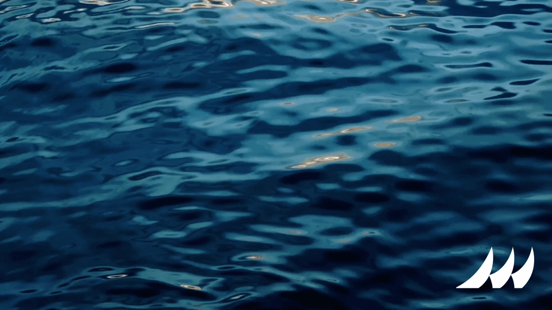 Hudson Group: Memorable Moments 2025