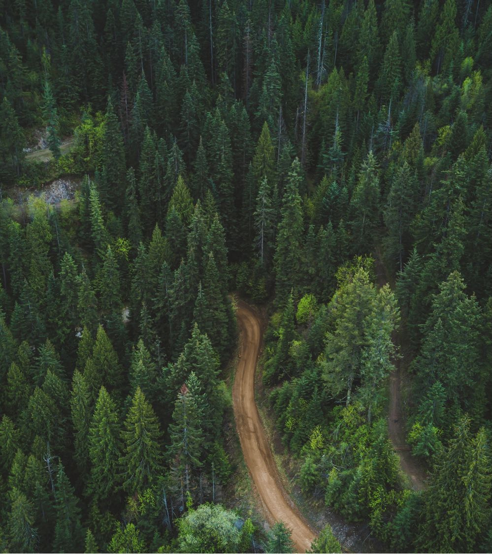 Brand storytelling that connects safety, nature, and belonging