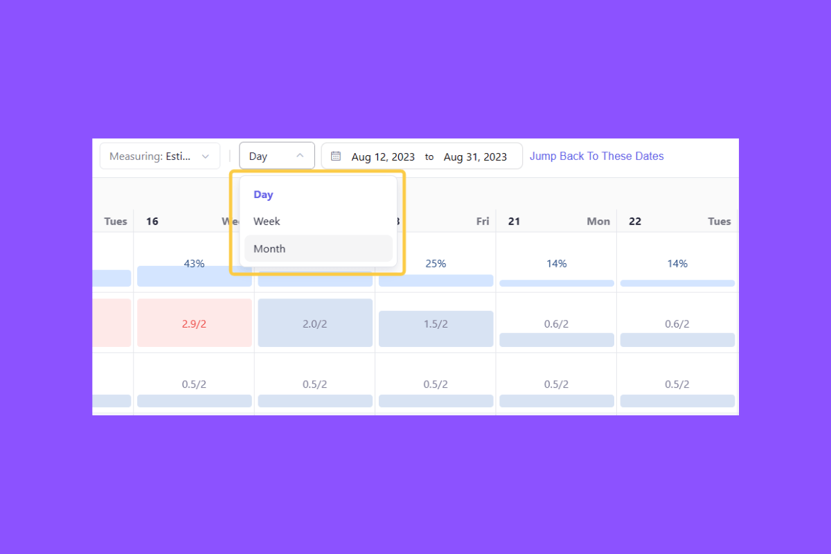 Choosing viewpoints in Leiga Teams