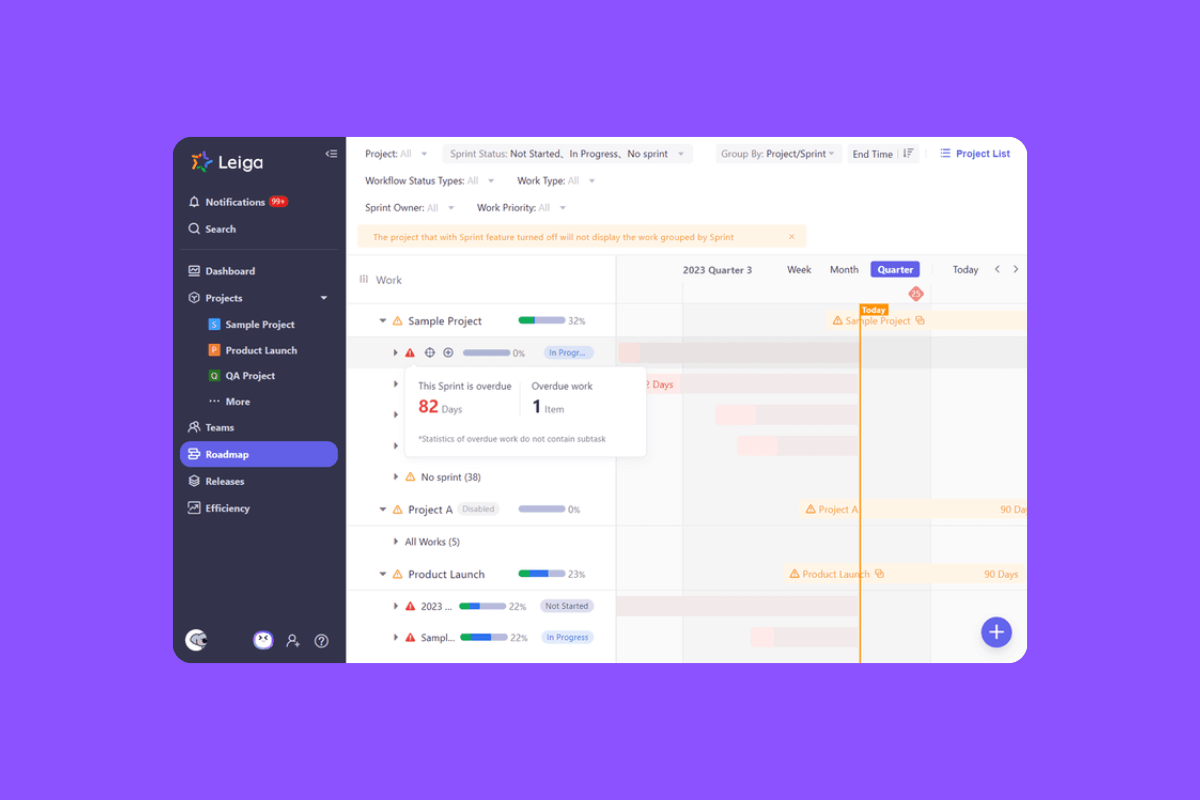 See all projects and timelines in Leiga's Roadmap