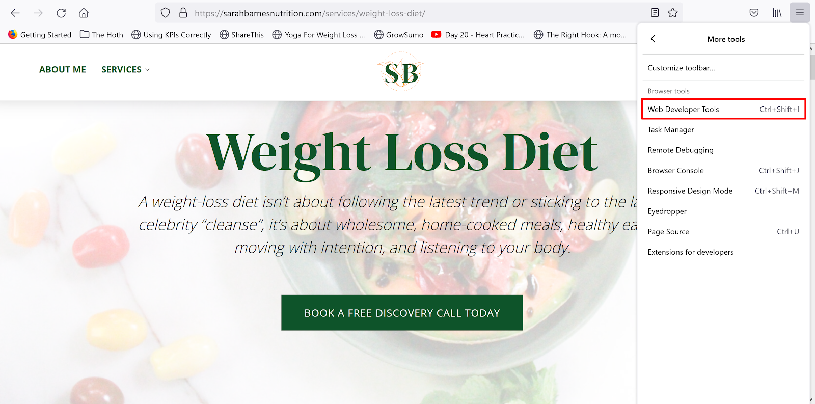 fox browser web developer tools photo