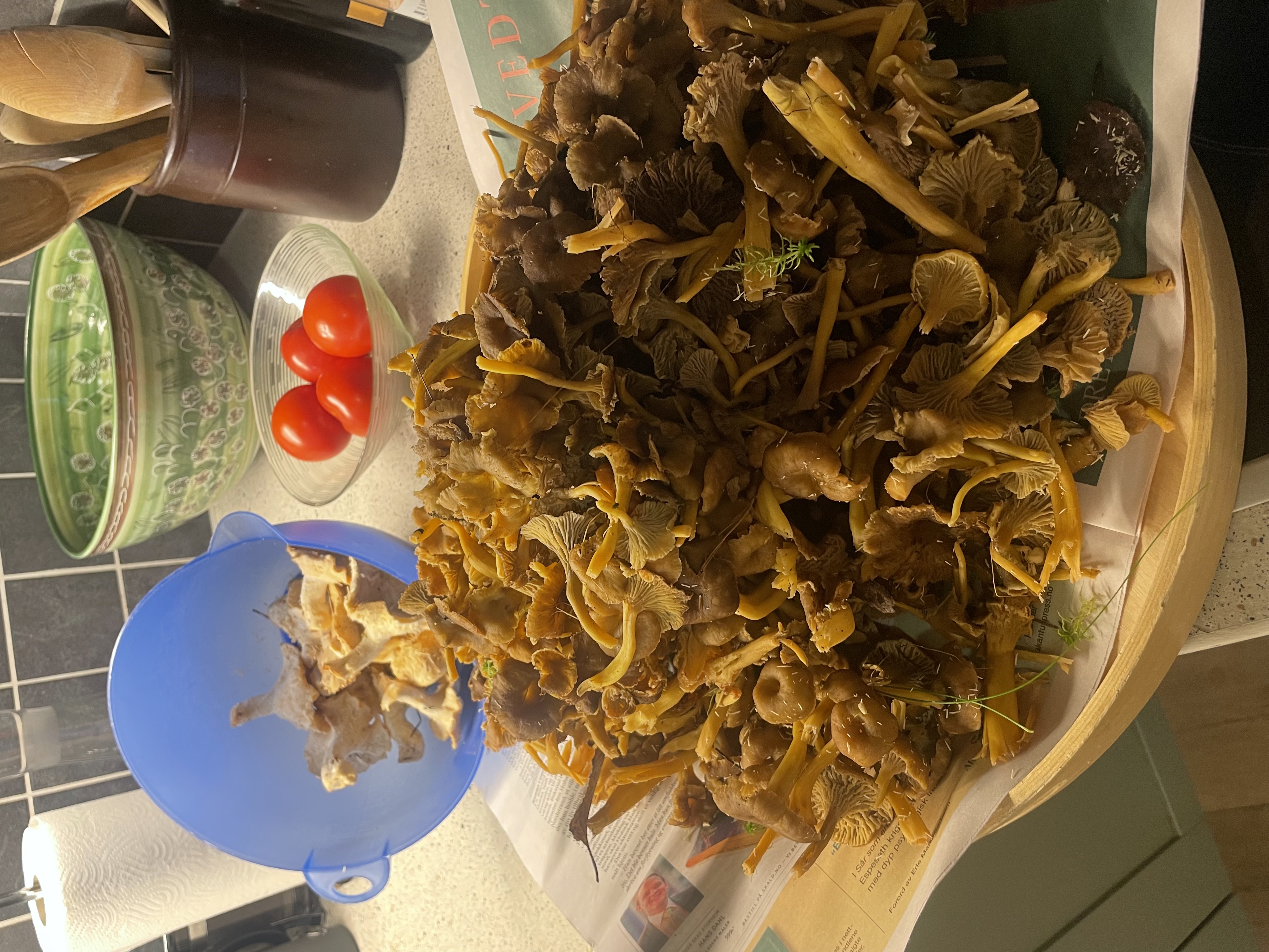 Høstens nyhetsbrev fra styret 13.10.25