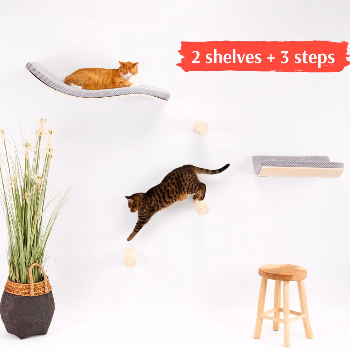 Cat Wall Furniture Set Of 2 Cat Wall Shelves And 3 Cat Steps, Cat Walk, Cat Scratch Tower Hanging Bed With Removable & Washable Cushion image 1