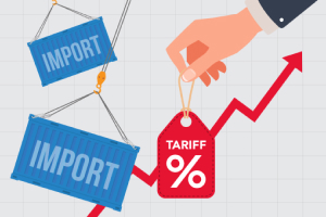 FTZs, also known as free trade zones, are designated areas within the U.S. where goods can be stored, processed, or manufactured under special customs procedures.