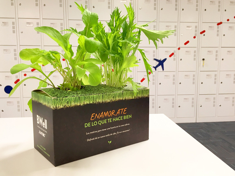 Plantines para activación Despegar