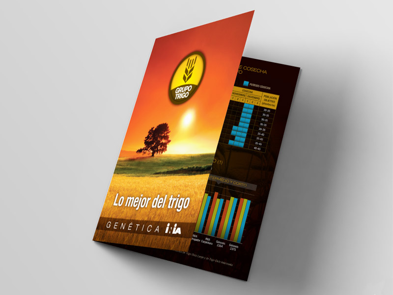 Folletería comercial Grupo Trigo