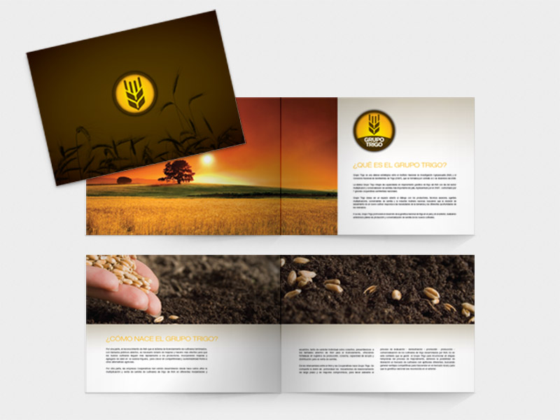Brochure institucional Grupo Trigo