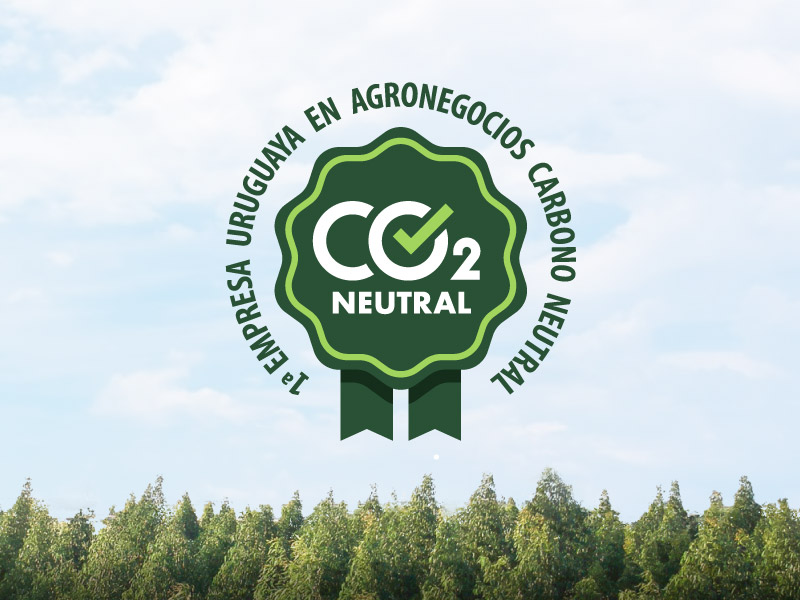 Logo de Campo Abierto CO2 Neutral