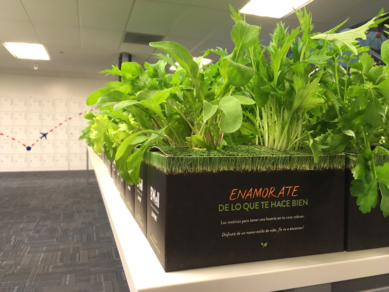 Plantines para activación Despegar