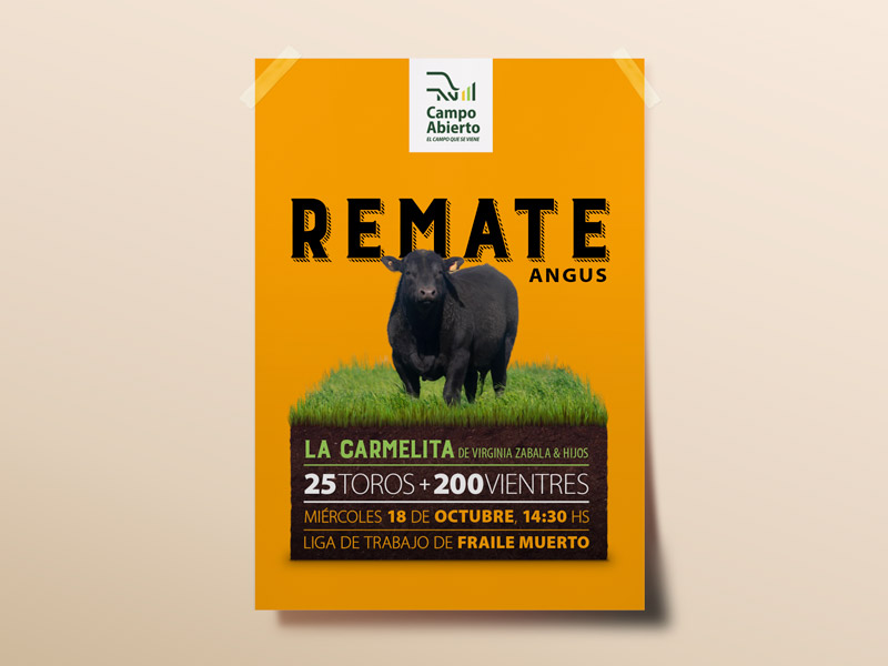 Afiche Campo Abierto