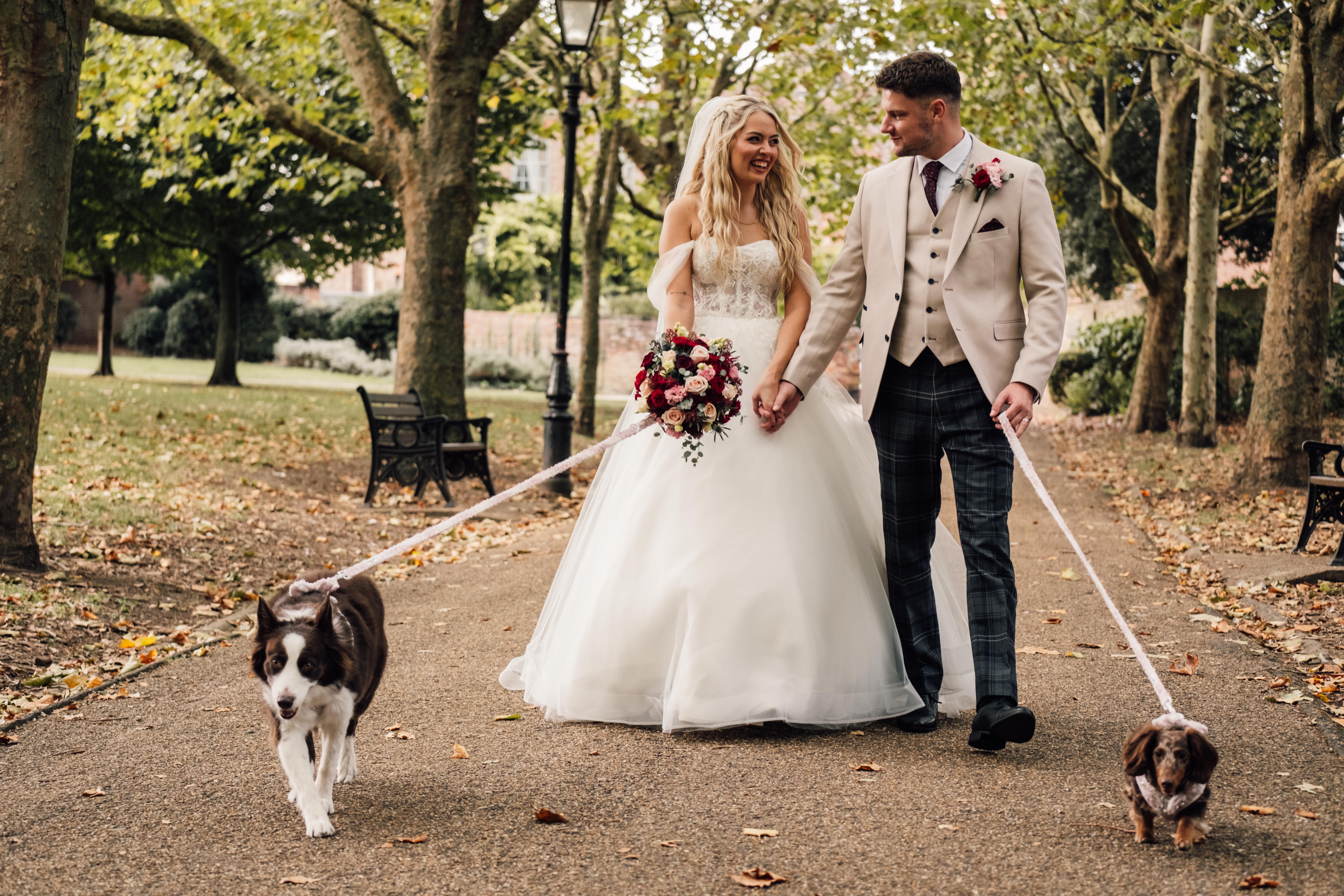 Bride and groom walk their dogs, Kent Wedding Photographers