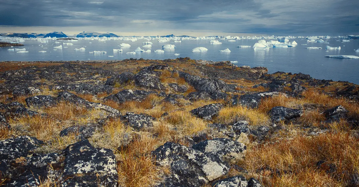 Why Critical Minerals Are the Crown Jewel of Trump’s Bid for Greenland