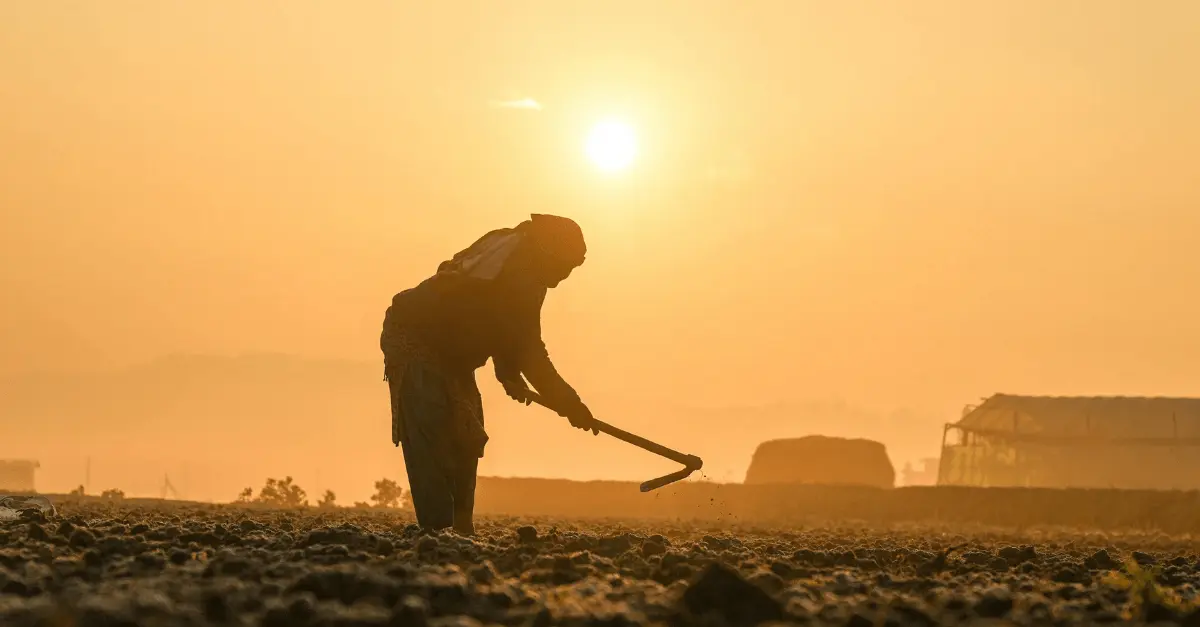 Why Businesses Need to Think Beyond the U.S. on Forced Labor Sanctions