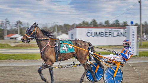 Video Brand Marketing