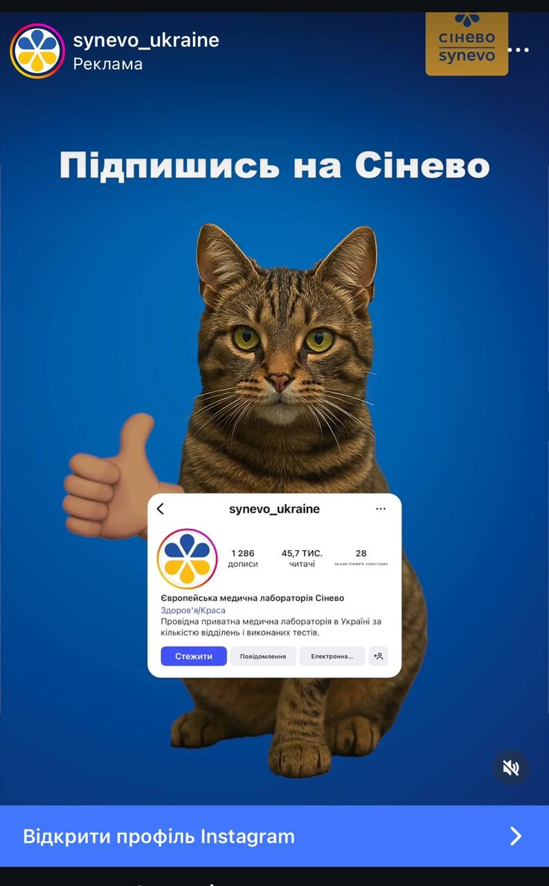 Відео реклама Instagram приклад