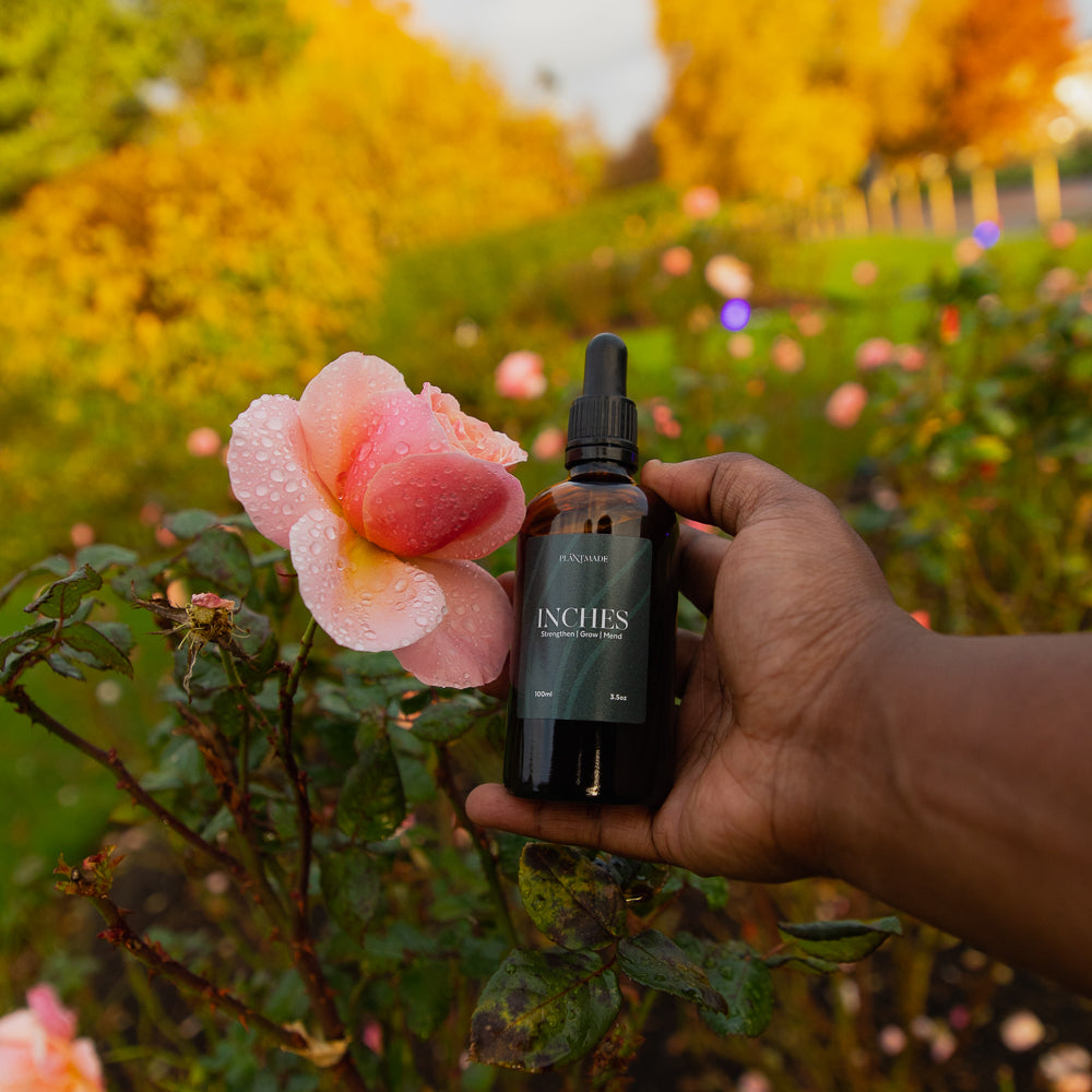 ALL – PLANTMADE