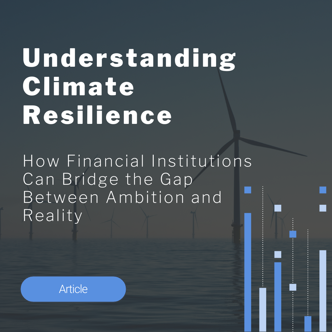 Understanding Climate Resilience: How Financial Institutions Can Bridge the Gap Between Ambition and Reality
