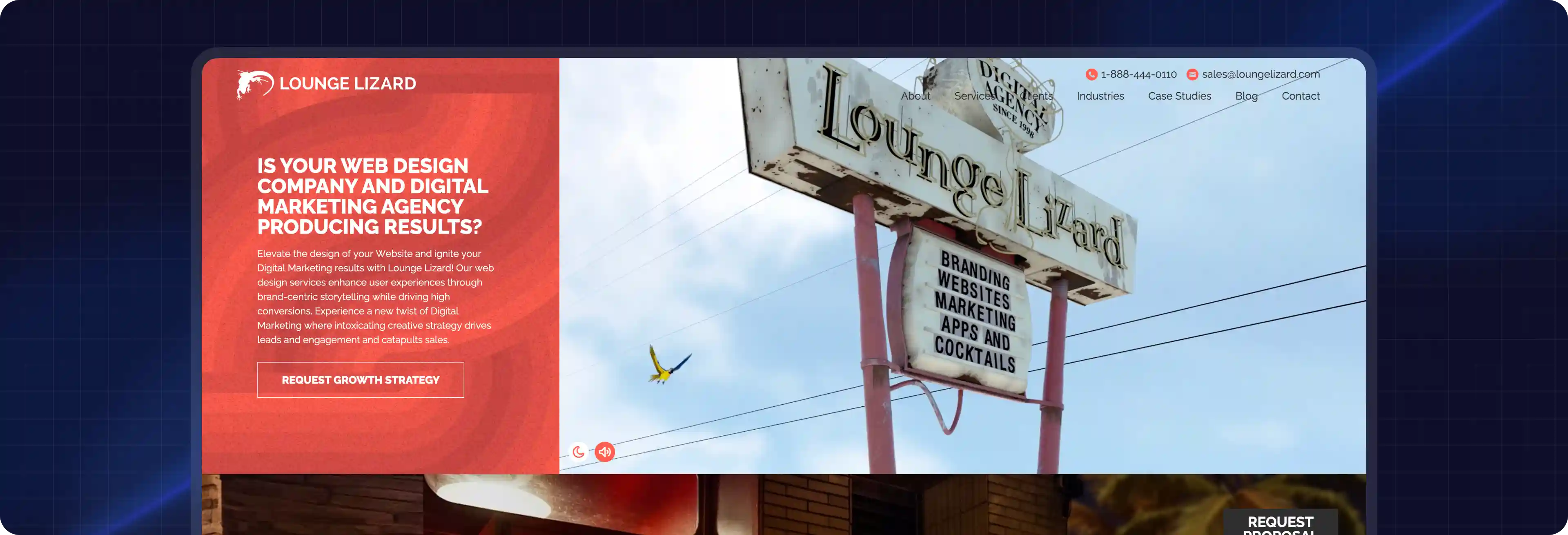 Top NYC WordPress Developers - Lounge Lizard