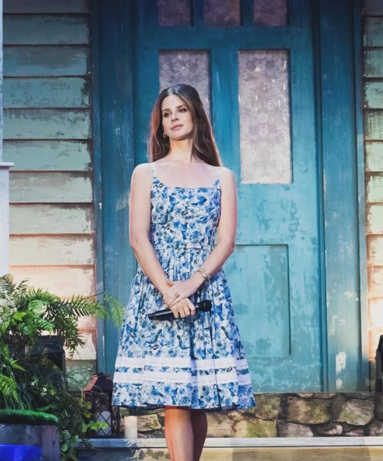 ‍Lana Del Rey net worth