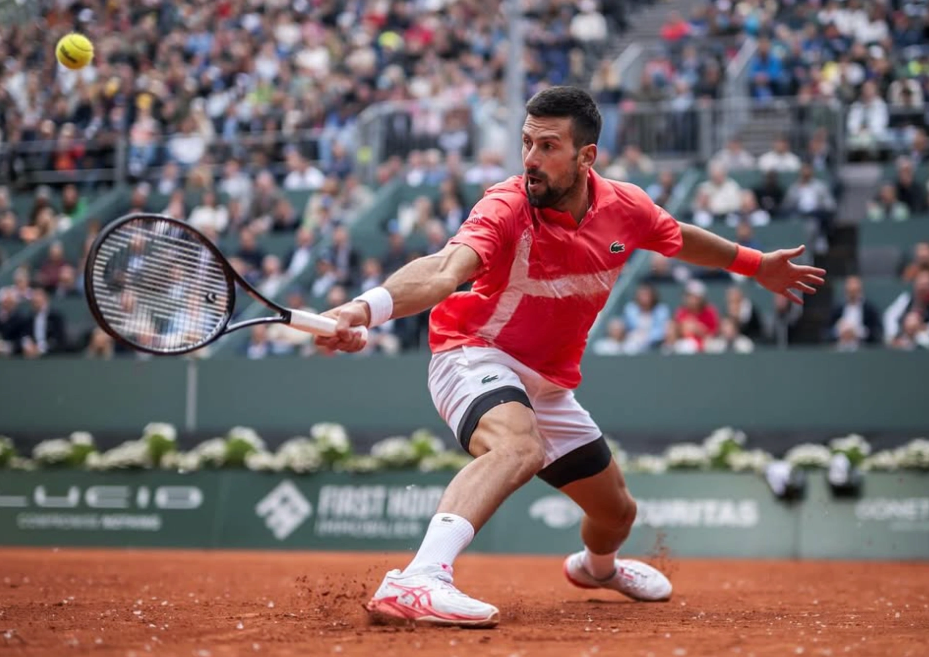 Highest Paid Tennis Players 2025: Carlos Alcaraz tops tennis earnings with 48.3 million USD
