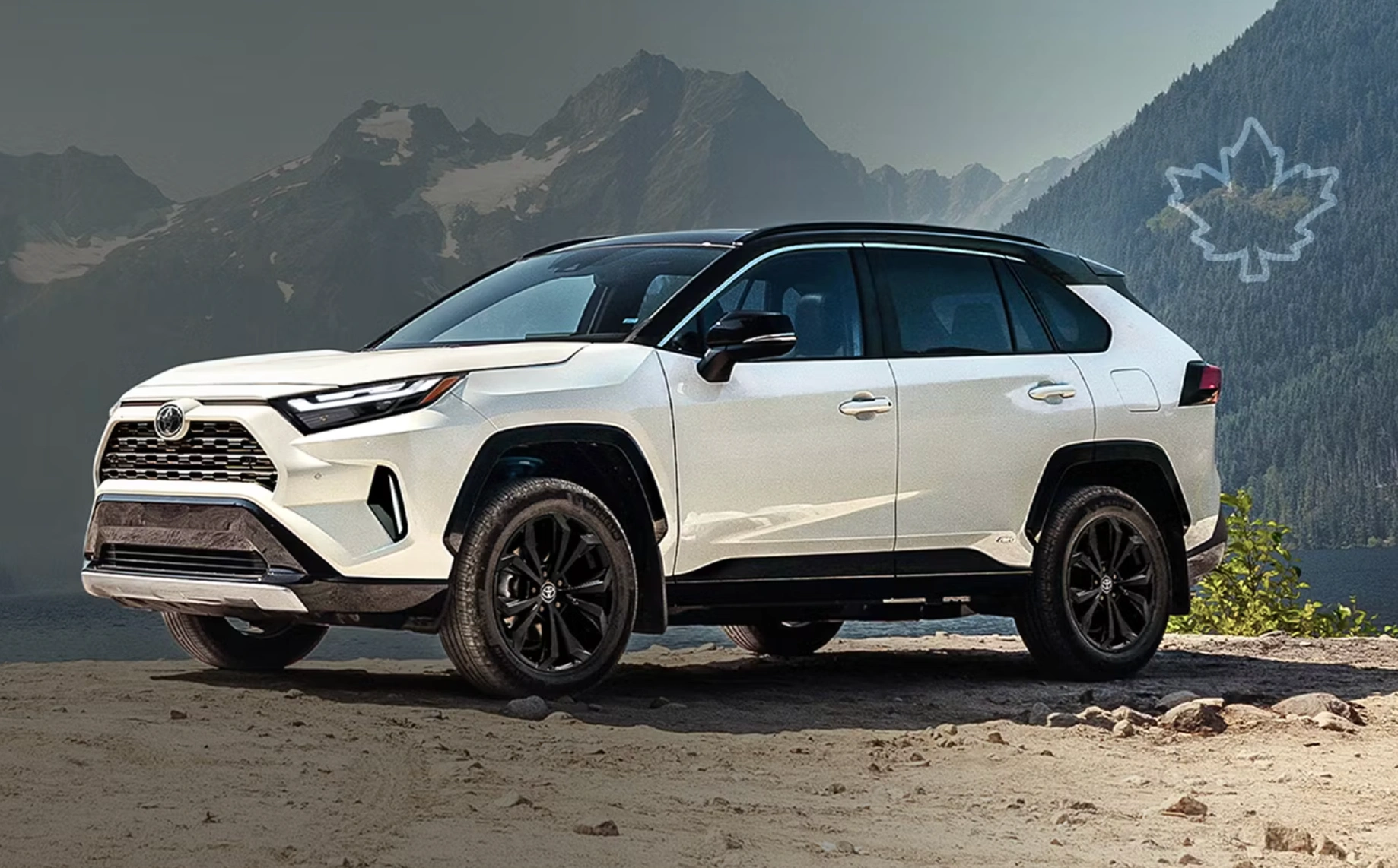 Toyota car campaign