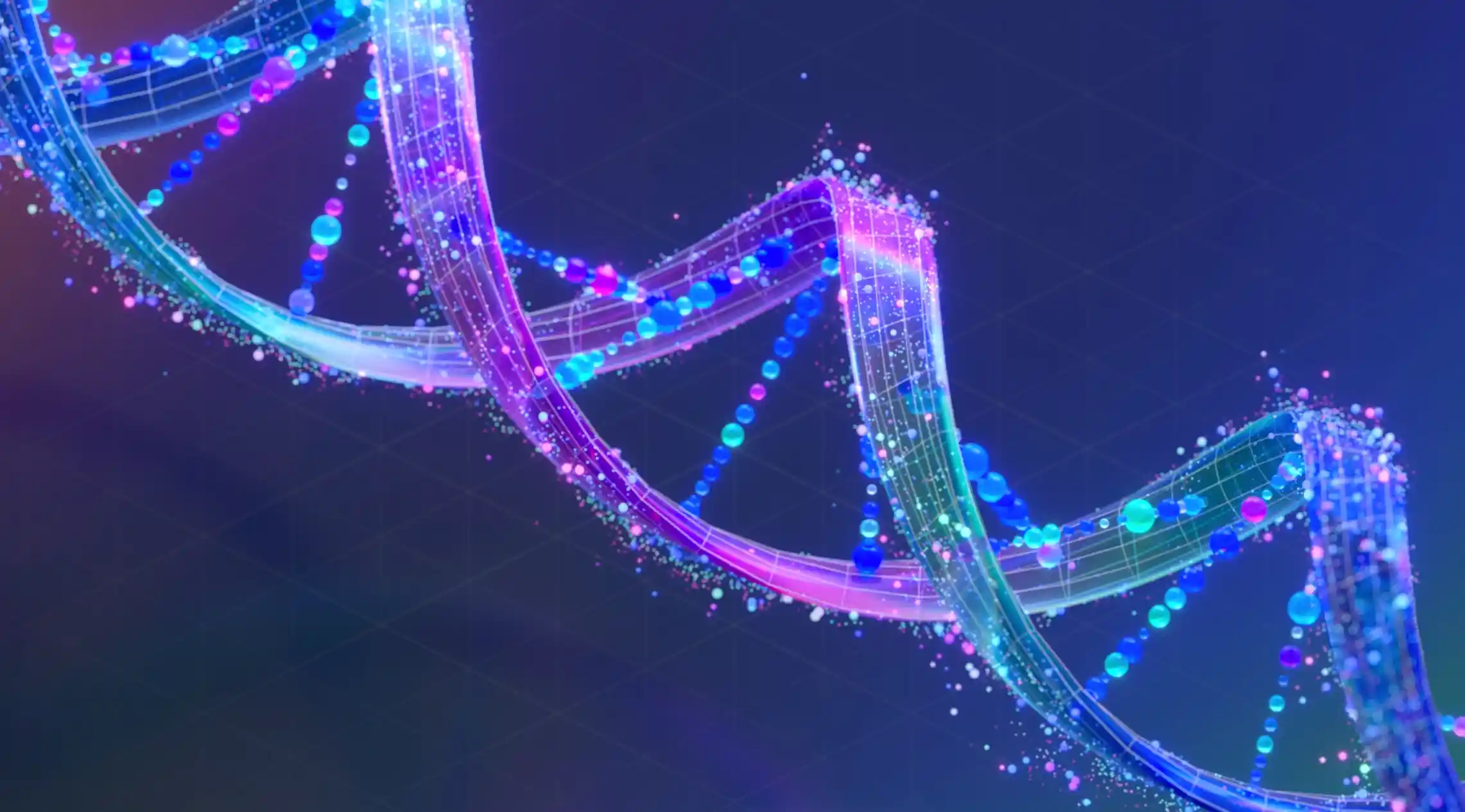 The Rise of Meta and Its 2025 Marketing Strategy