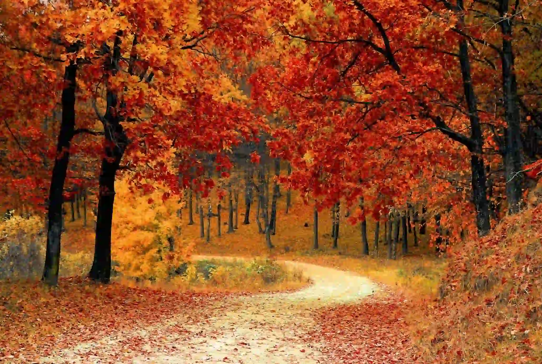 Best Fall Books to Read in 2025