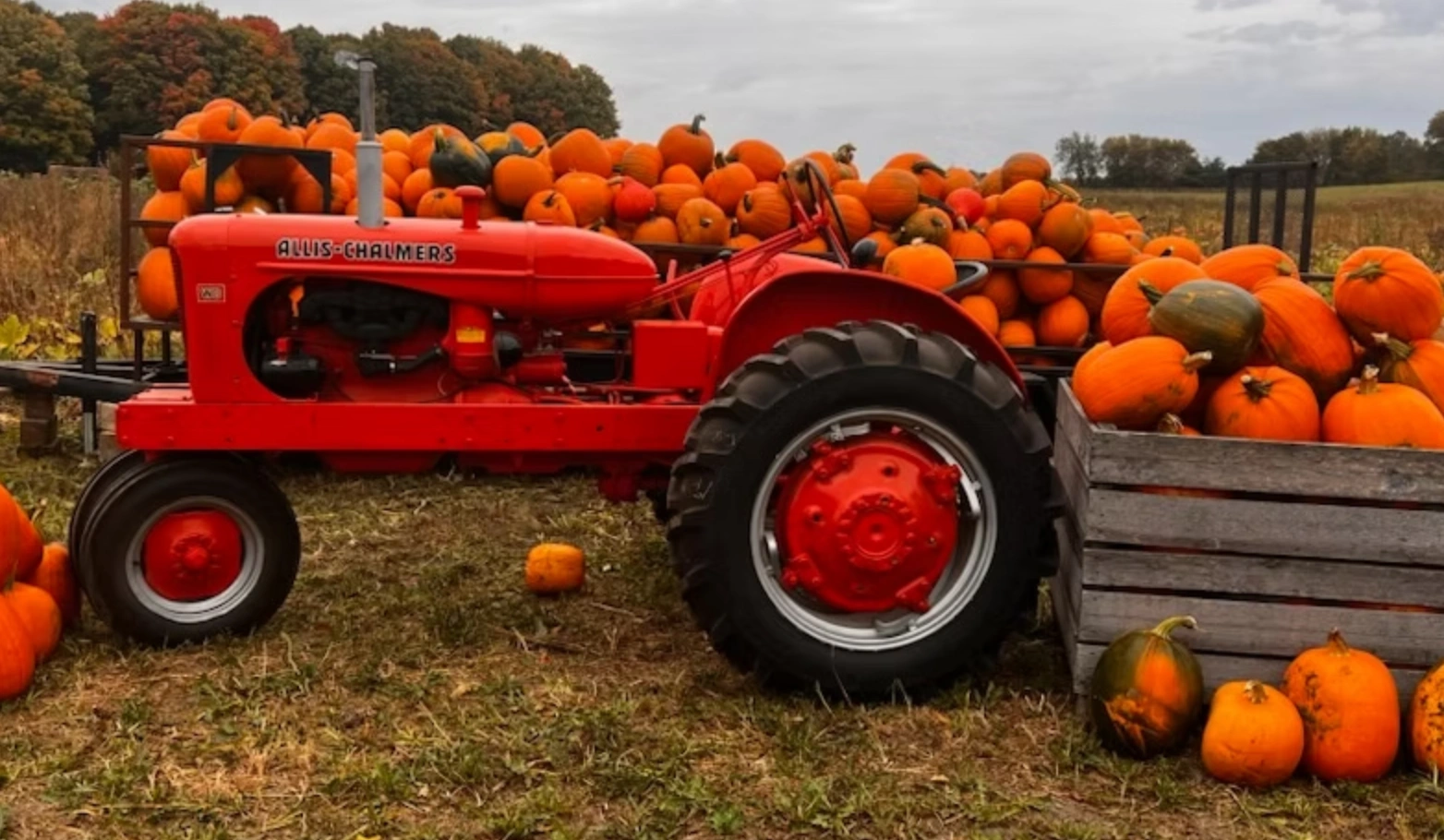 Brooks Farms Fall Fun Festival