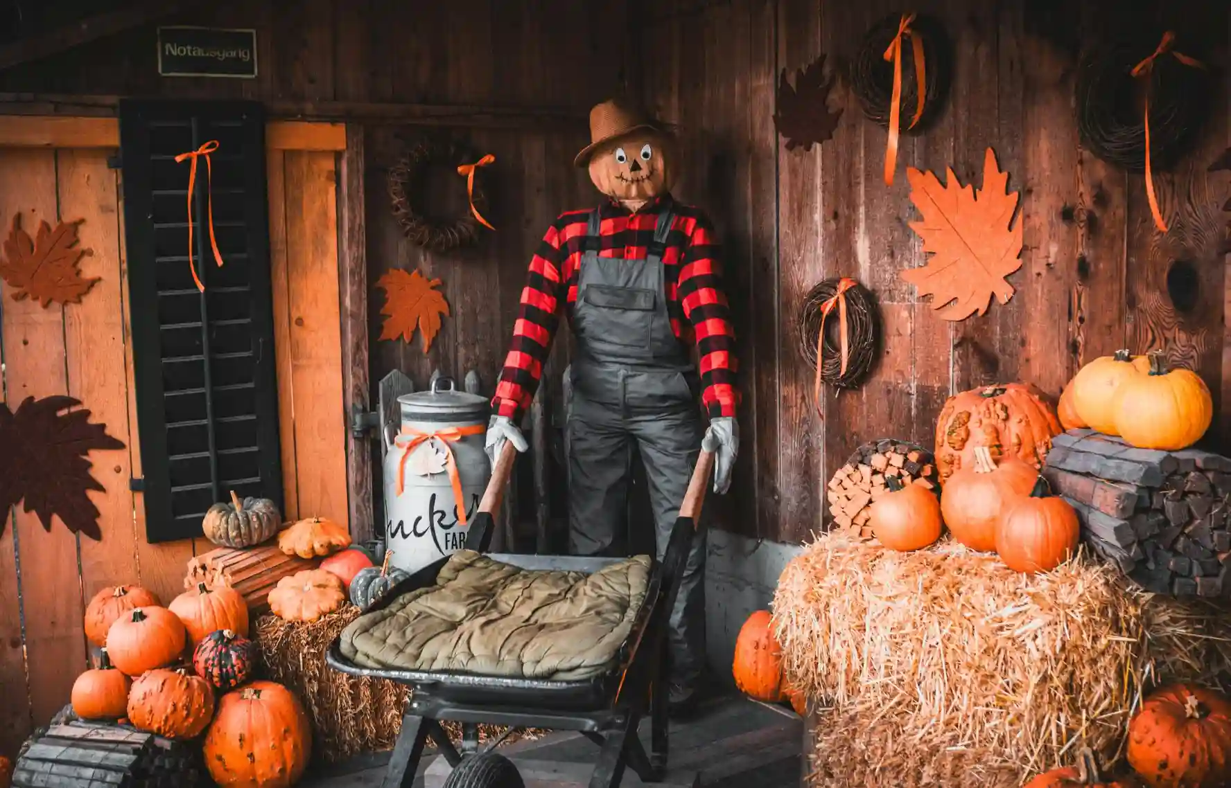 The Best Fall Festivals In Toronto and the GTA 2025