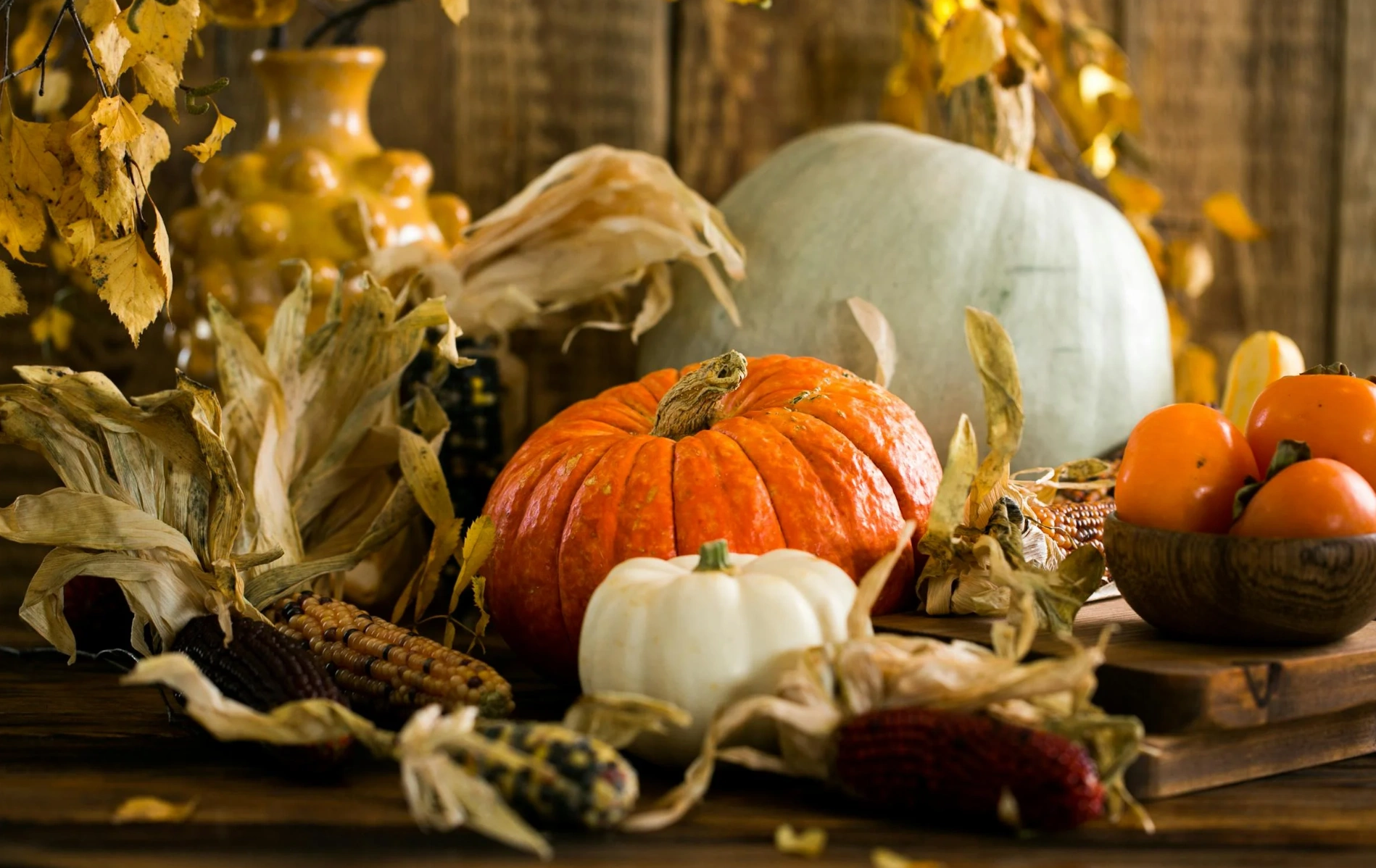 pumpkins for halloween
