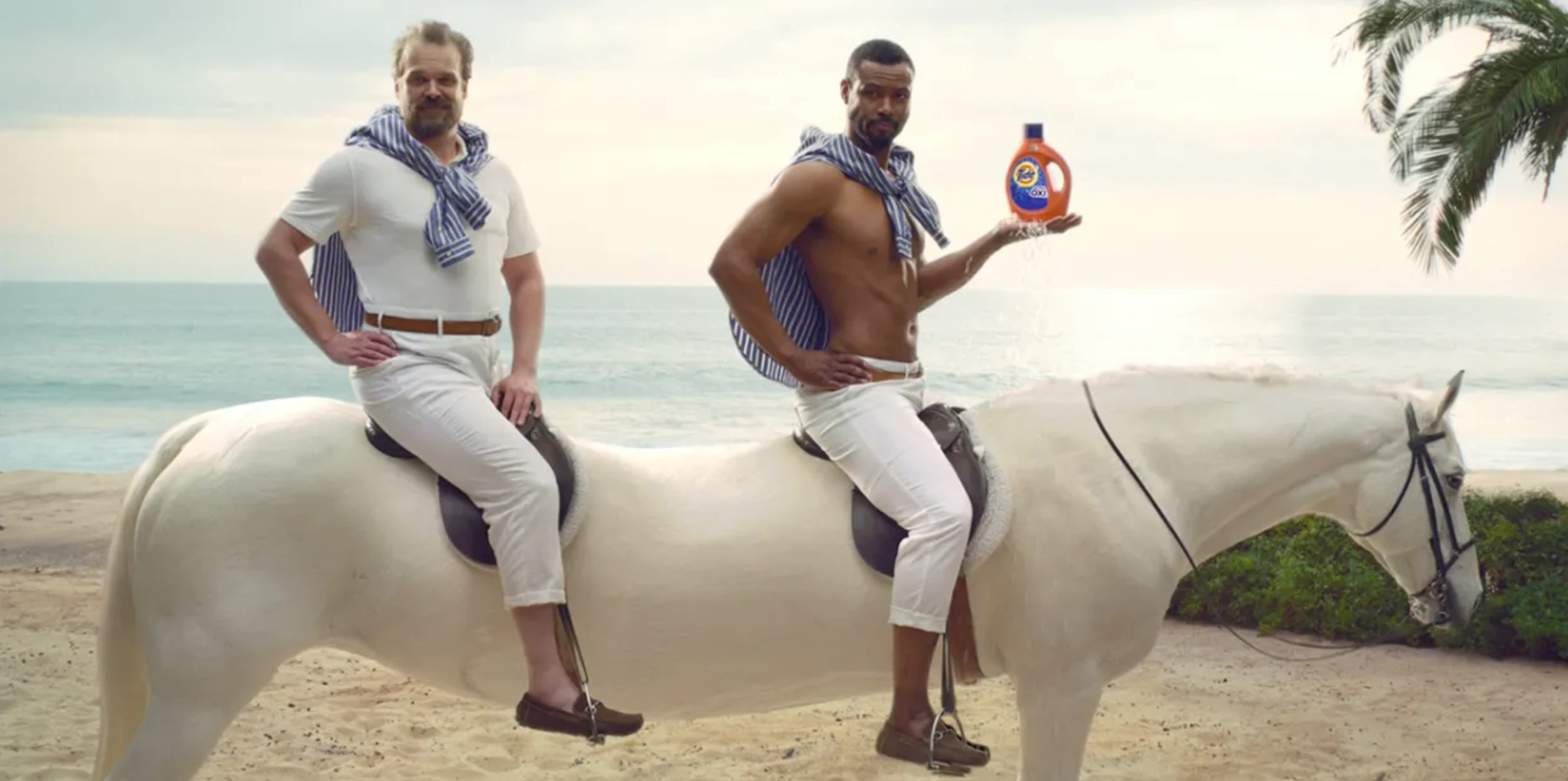 Tide ad 2018 Superbowl