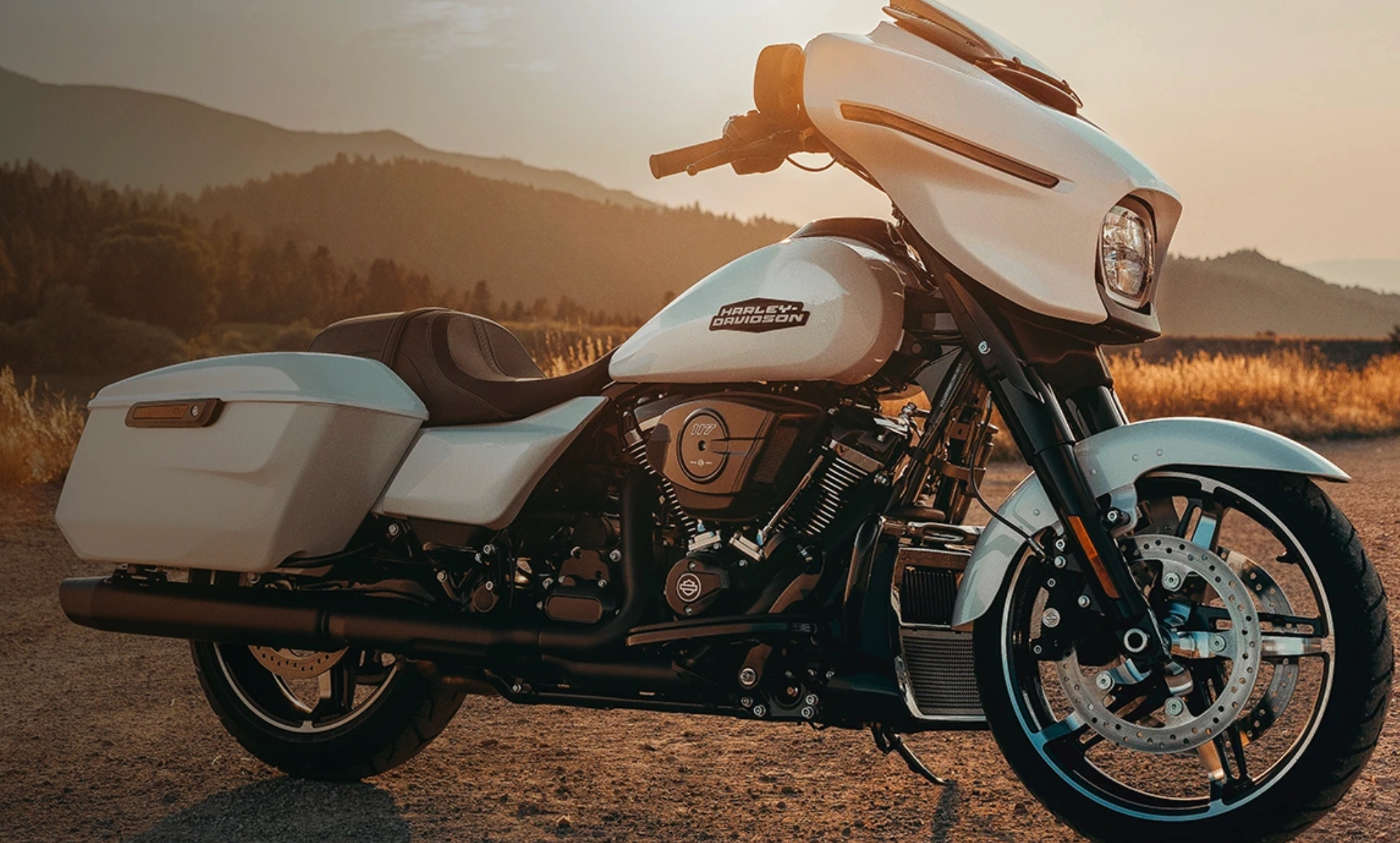 Harley-Davidson motorcycle 2025