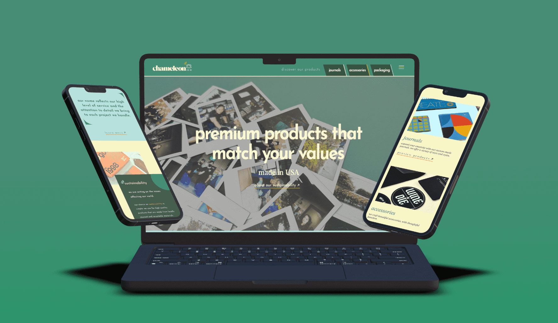 Discover Chameleon Like's Expertise: A Brand Vision Marketing Case Study.