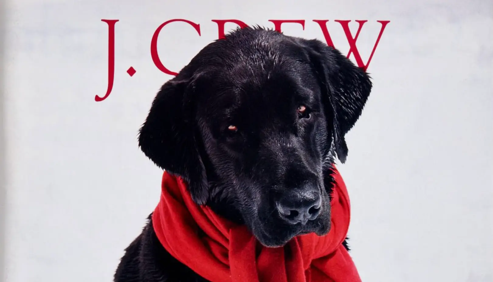 J.Crew Holiday Marketing: How A Heritage Brand Makes December Its Season J.Crew Holiday Marketing: How A Heritage Brand Makes December Its Season
