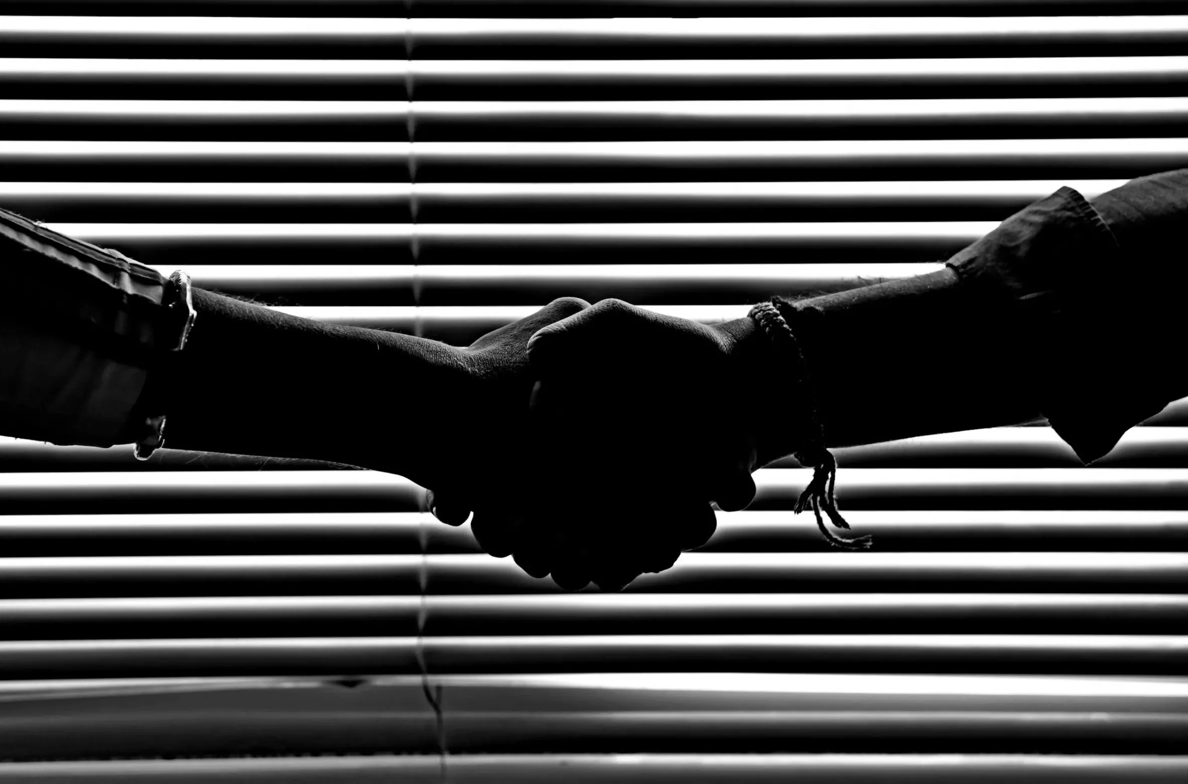 people shaking hands