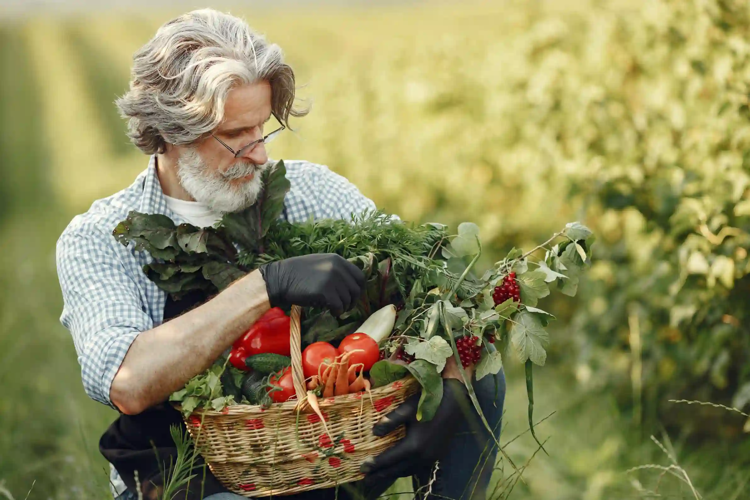 Social Media Marketing for Health and Wellness Companies in 2026