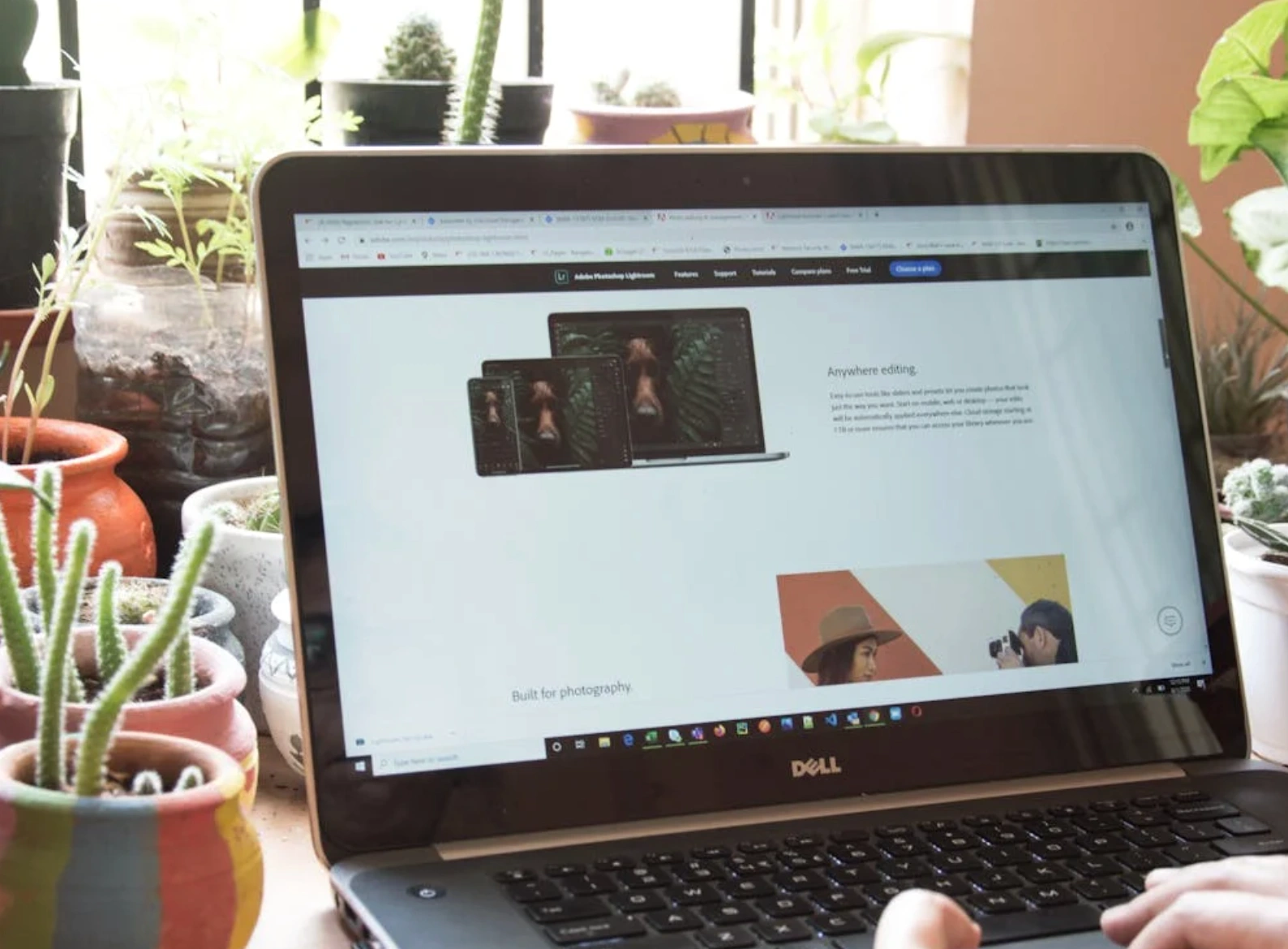 web layout on laptop