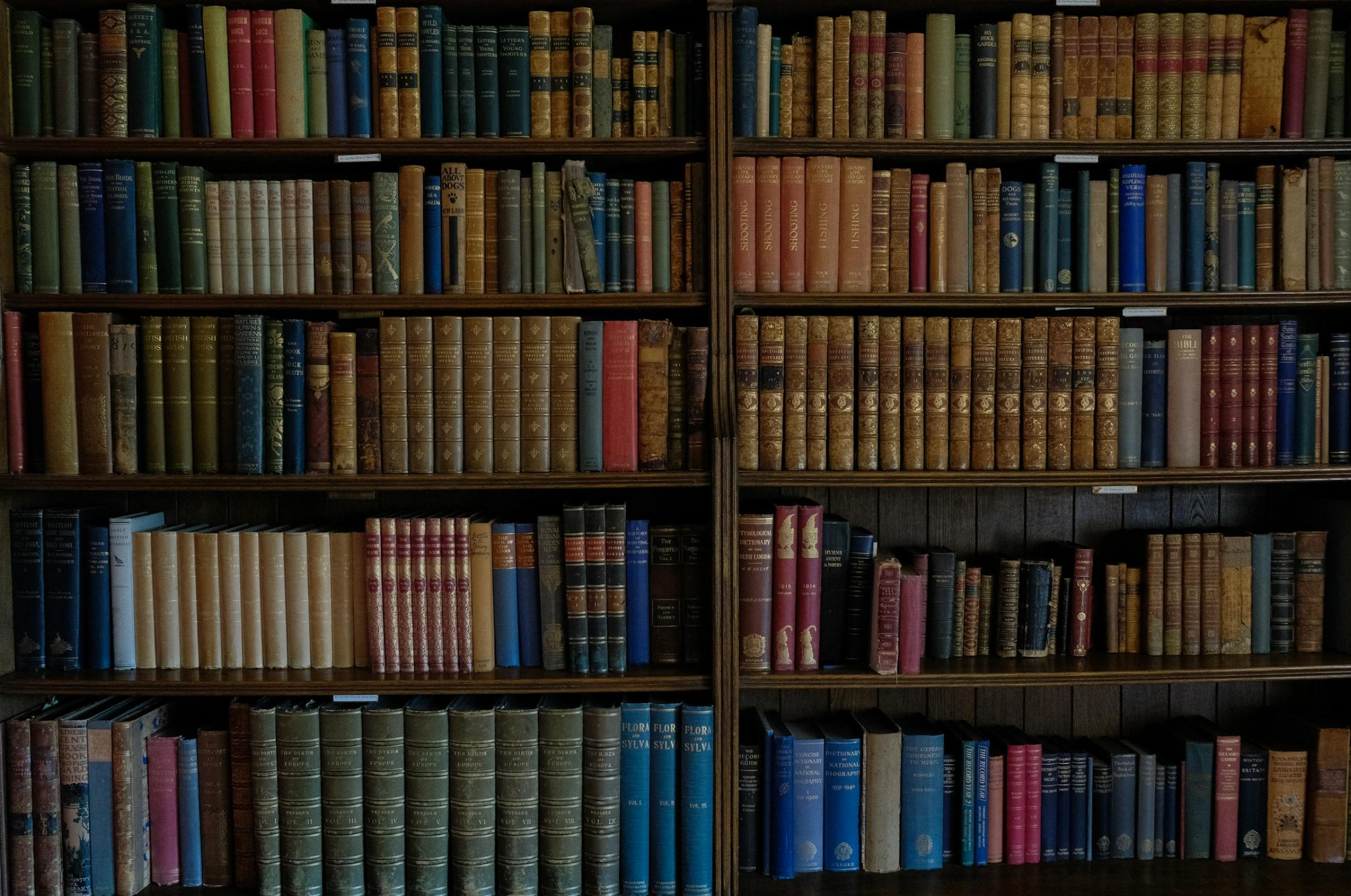 bookshelf filled with books