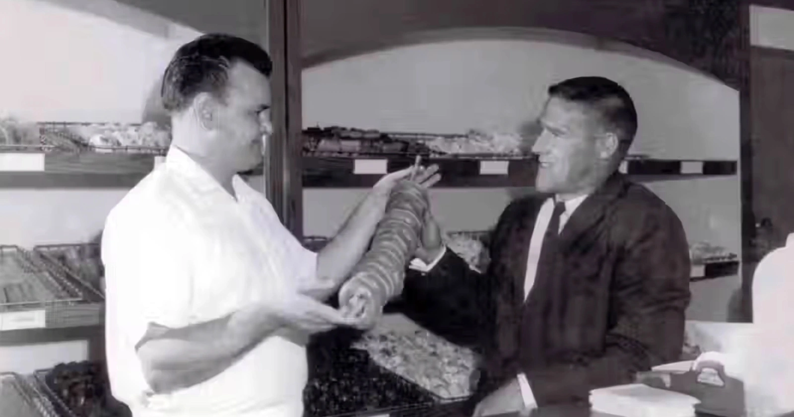 Tim Hortons hockey player