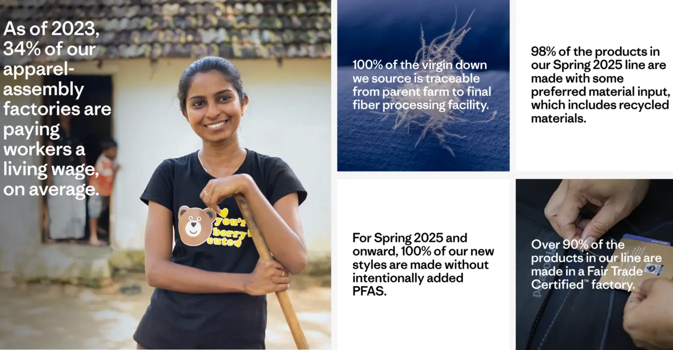 Patagonia sustainability mission and goals
