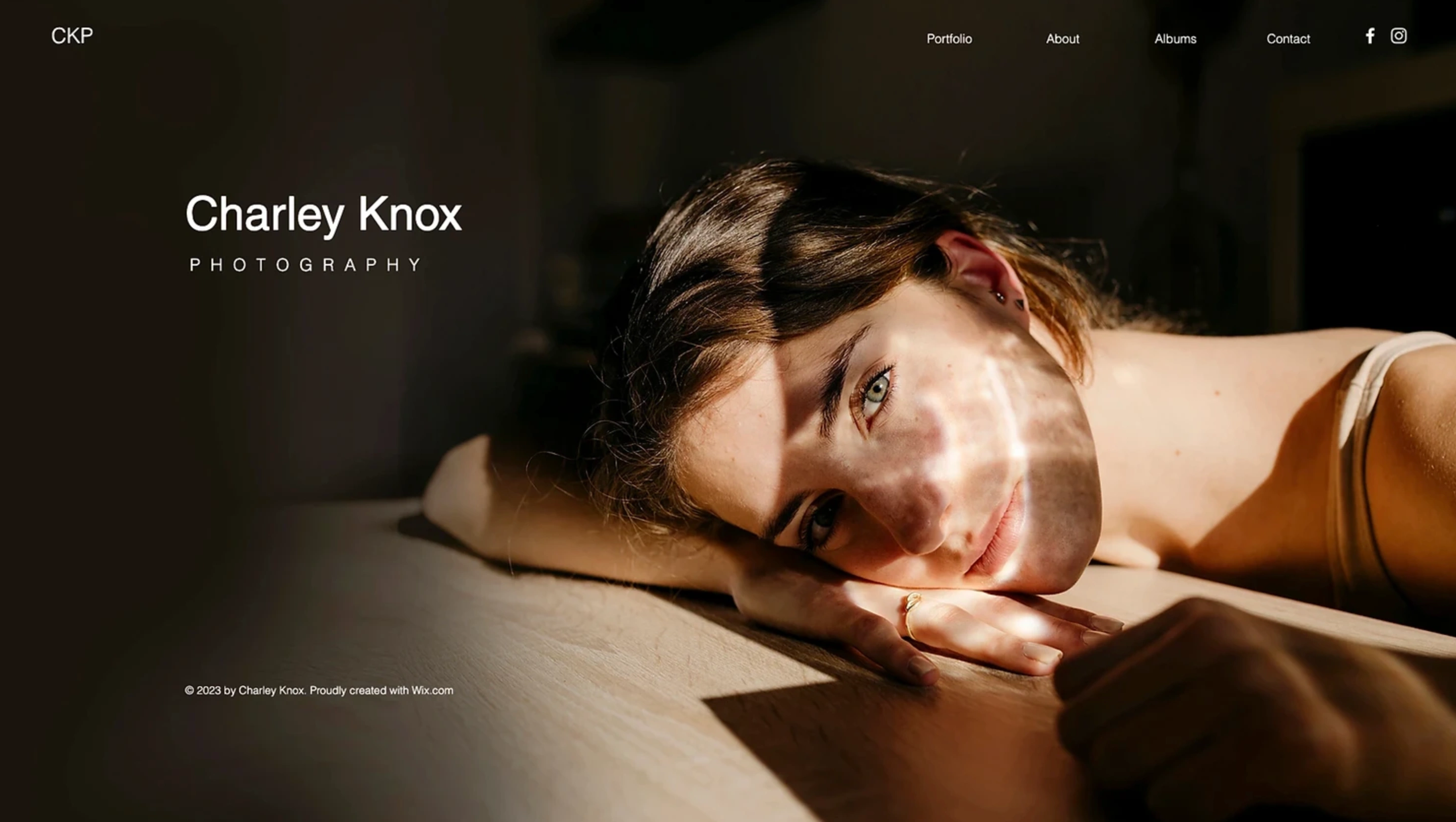 portfolio example template from wix