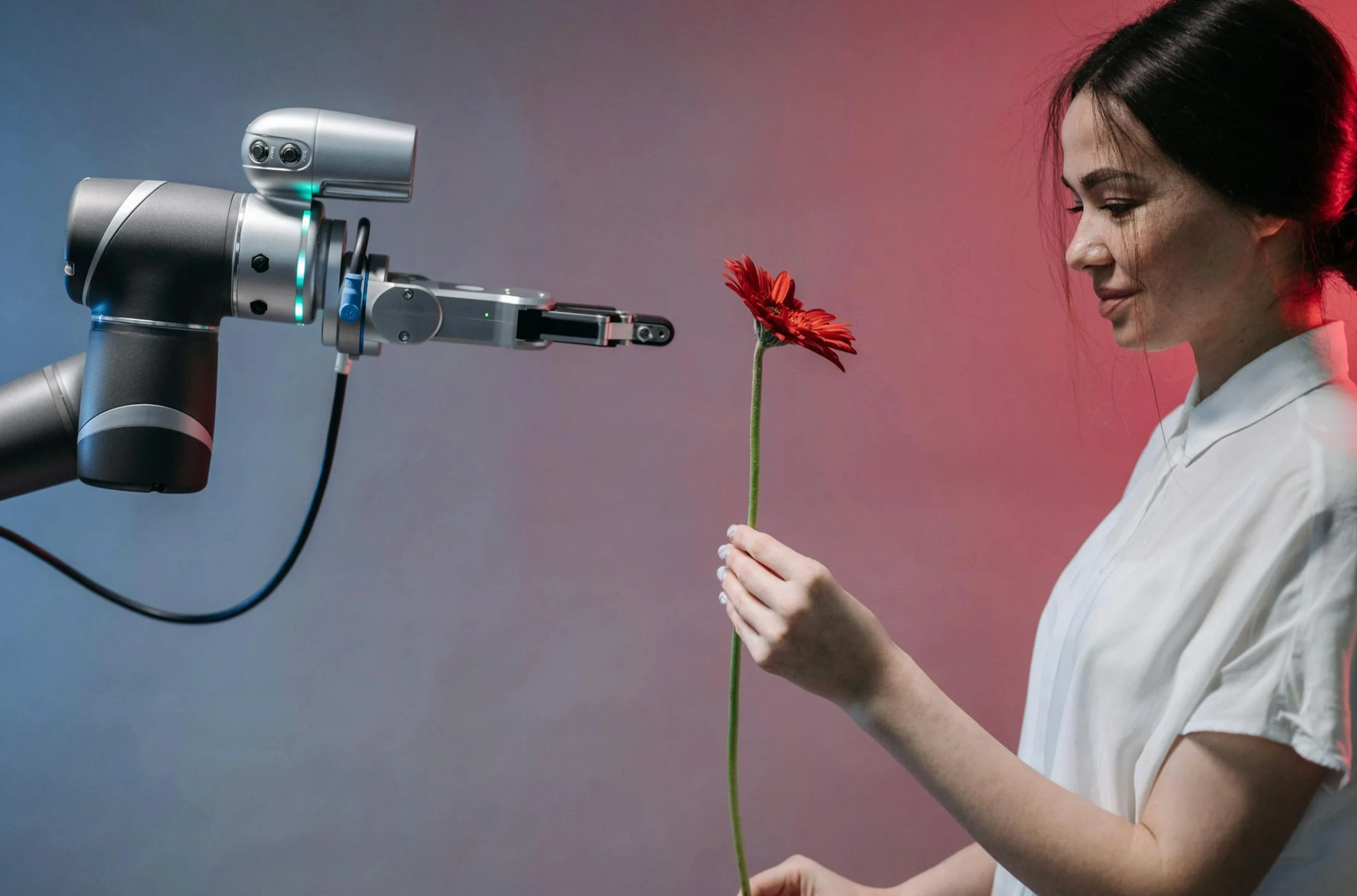 AI robot giving a woman a rose