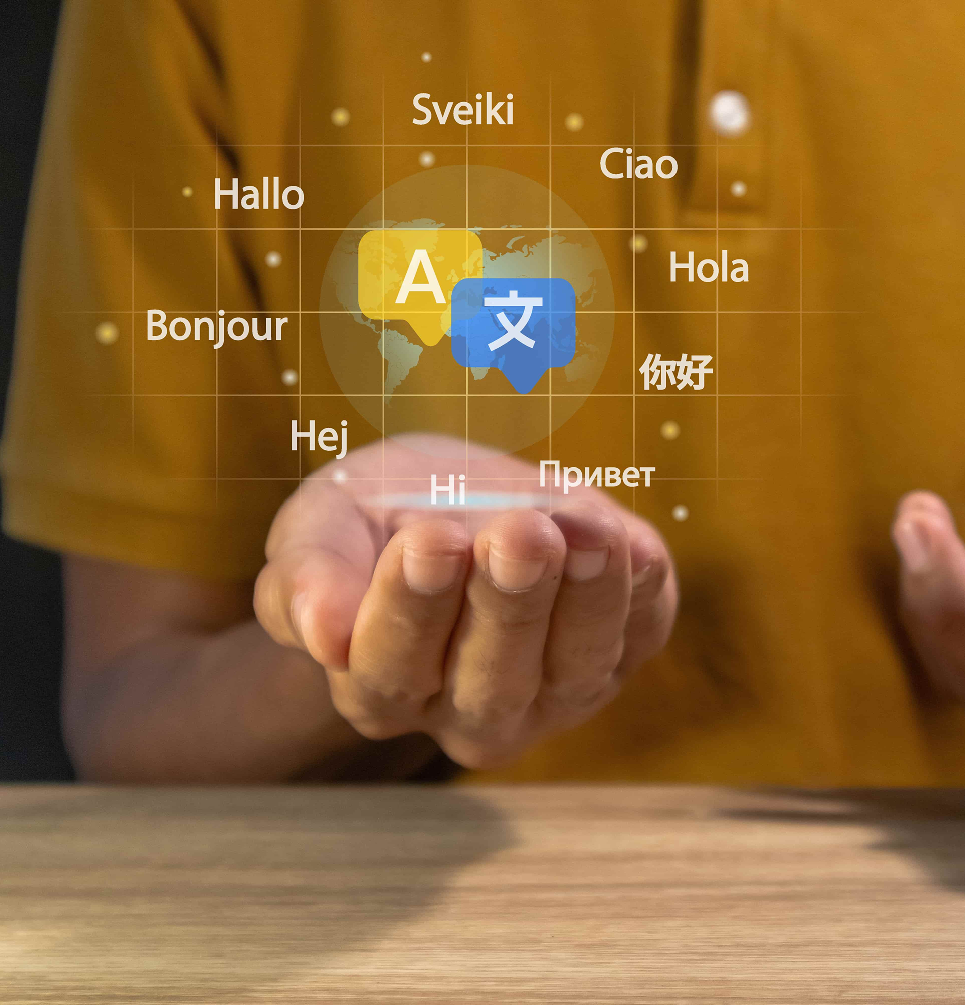 Technical SEO audit Canada for multilingual website optimization, showing language targeting, translation interface, and international SEO structure for bilingual sites.