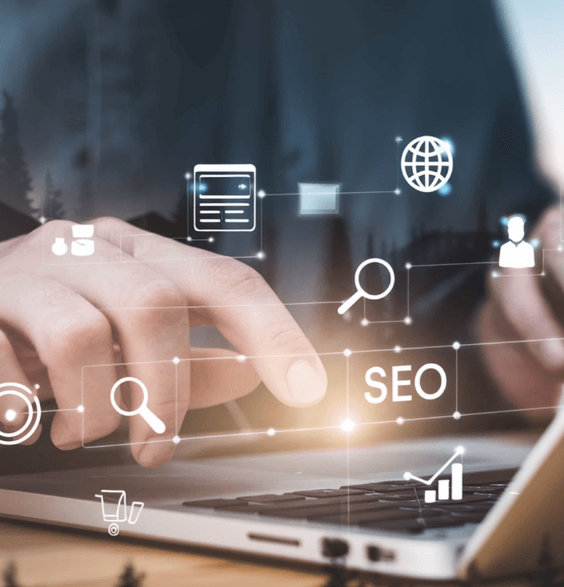 WordPress SEO Expert