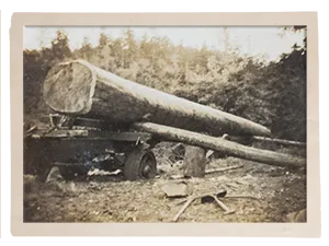 1930s - 1940s, loading logs onto the back of a small transport vehicle.