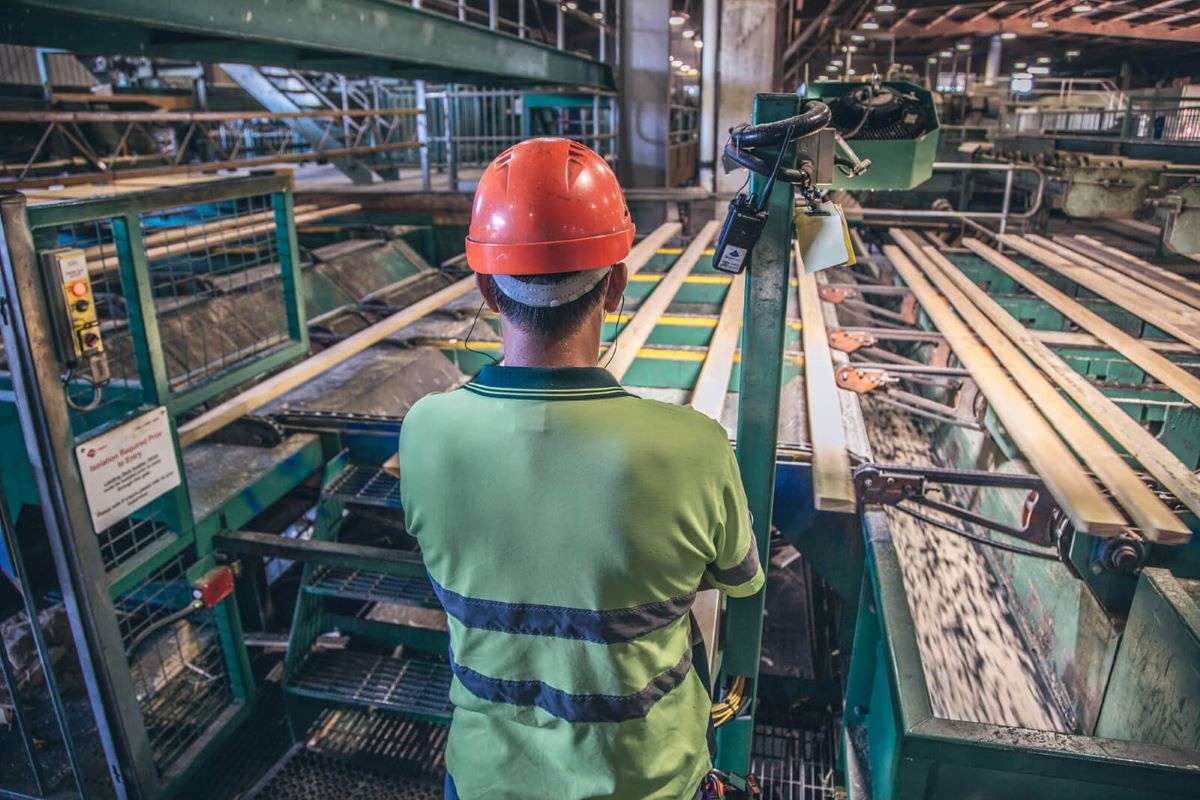 Staff working during tour of mill