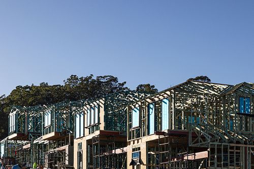 T2 Blue Treated Pine | Hyne Timber