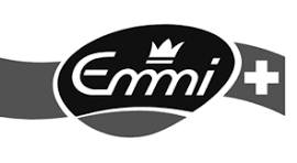 Ephicient logo